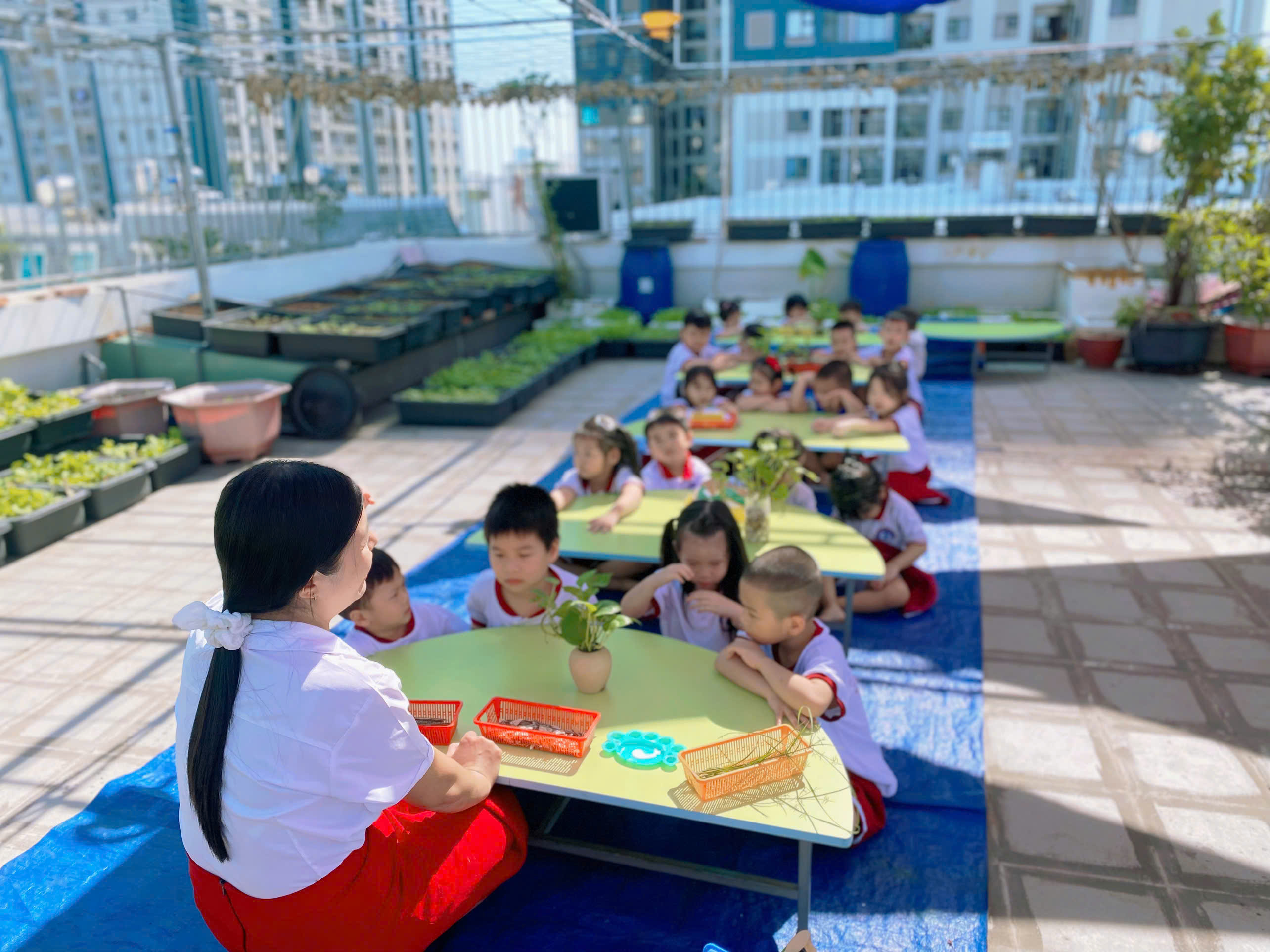 TẠO HÌNH: NHỮNG CHÚ CÁ HƯỚNG DƯƠNG