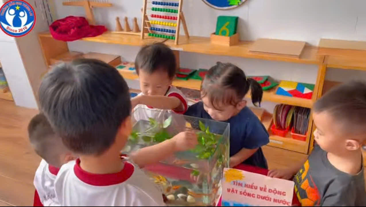 Trải nghiệm: quan sát các con vật sống dưới nước