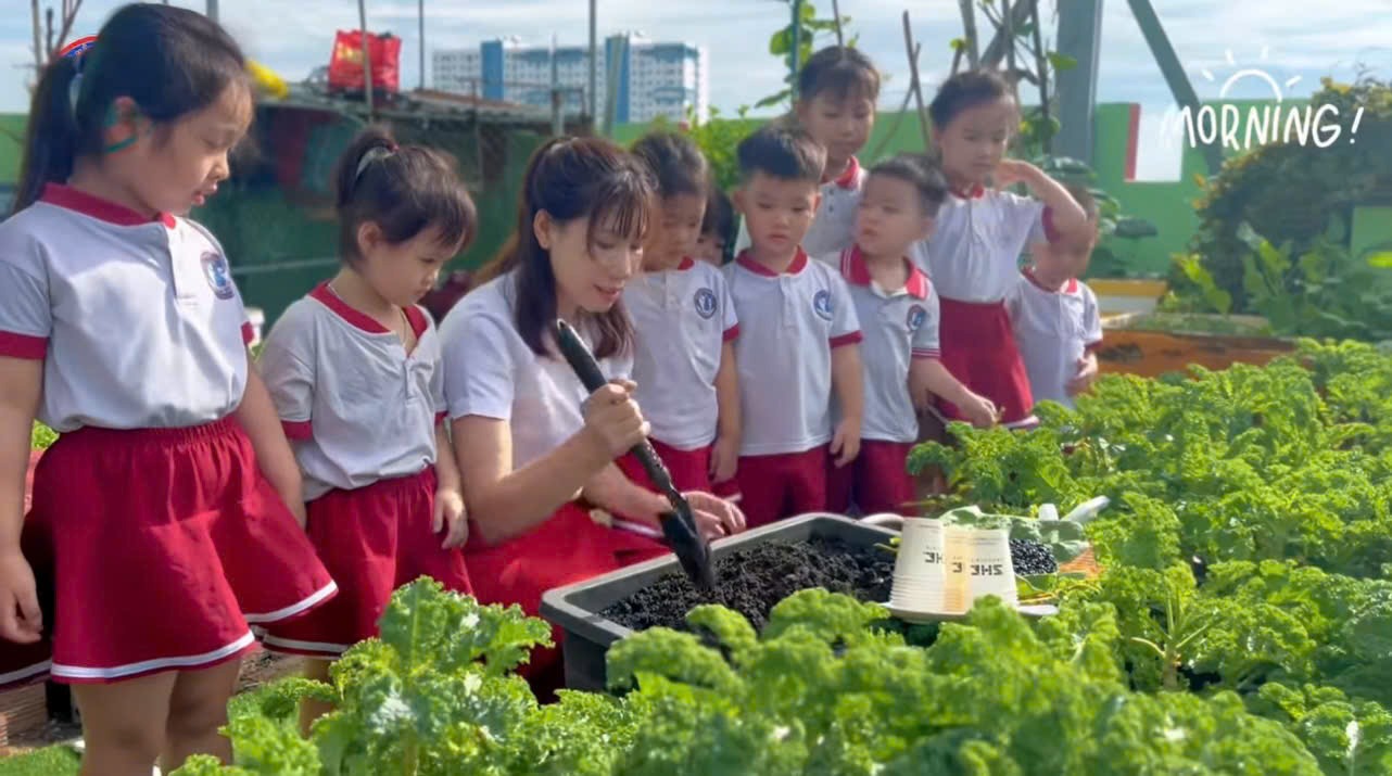 ?Gieo hạt.....nảy mầm ?