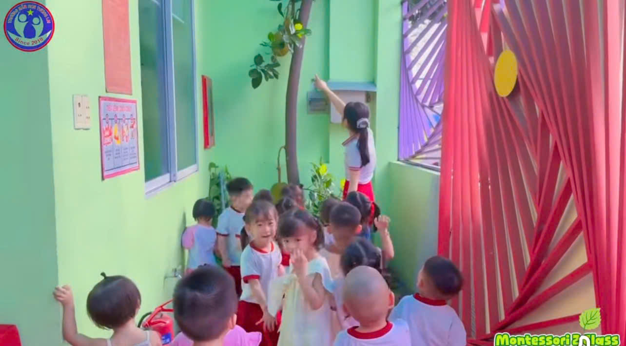 TRẢI NGHIỆM HÁI MÍT